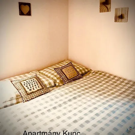 Apartmany Kunc Bedřichov Buitenkant foto