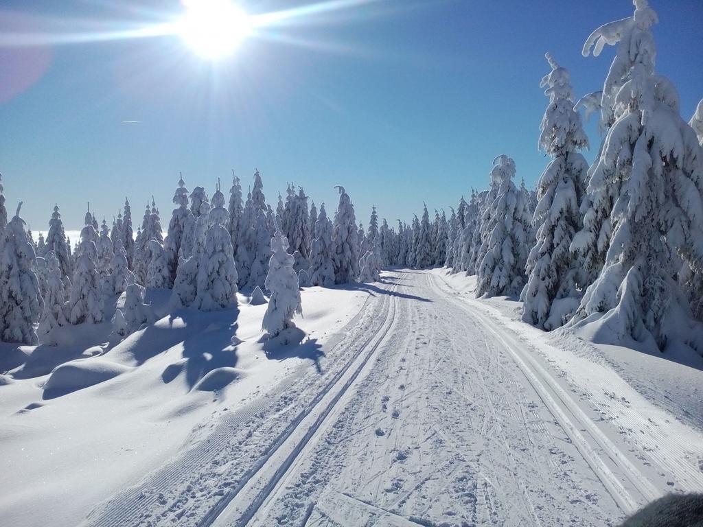 Kunc * Bedrichov (Liberec)